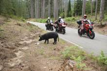 Notre zone d'activité pour ce service Dépanneur Ducati pour une moto en urgence à